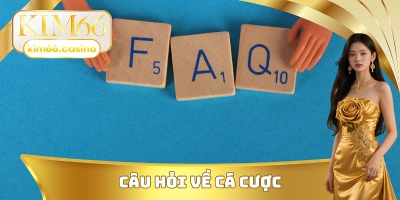 Câu hỏi thường gặp về hành trình cá cược