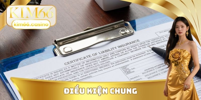 Điều kiện chung của các giấy phép hoạt động