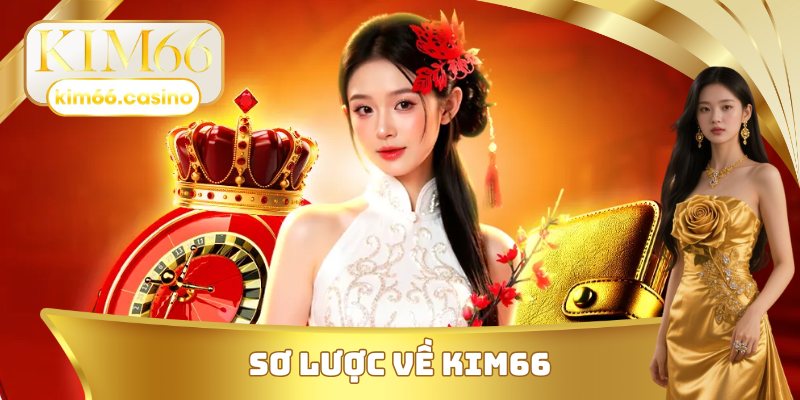 Sơ lược về KIM66